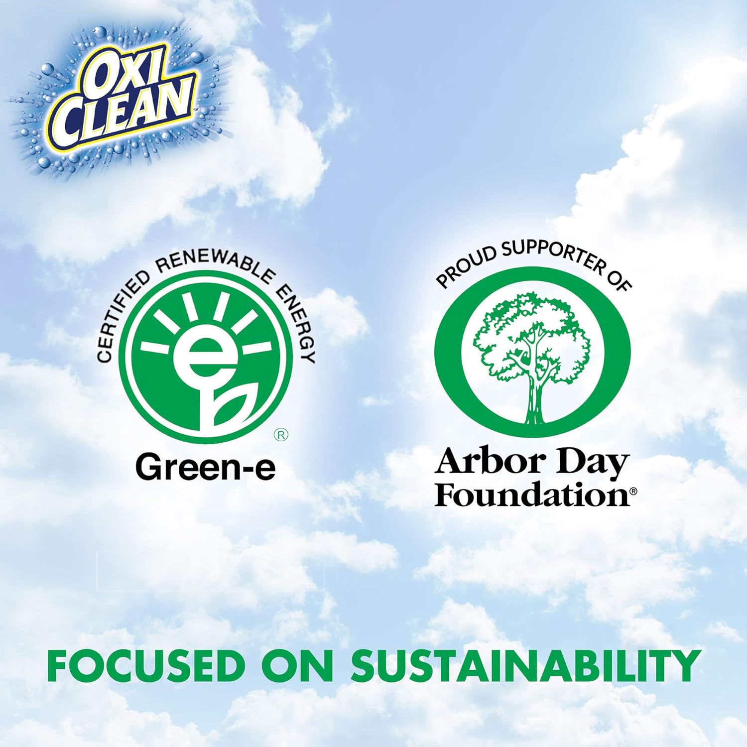 Odor Blasters Odor and Stain Remover Laundry Booster Liquid, 50 Fl Oz