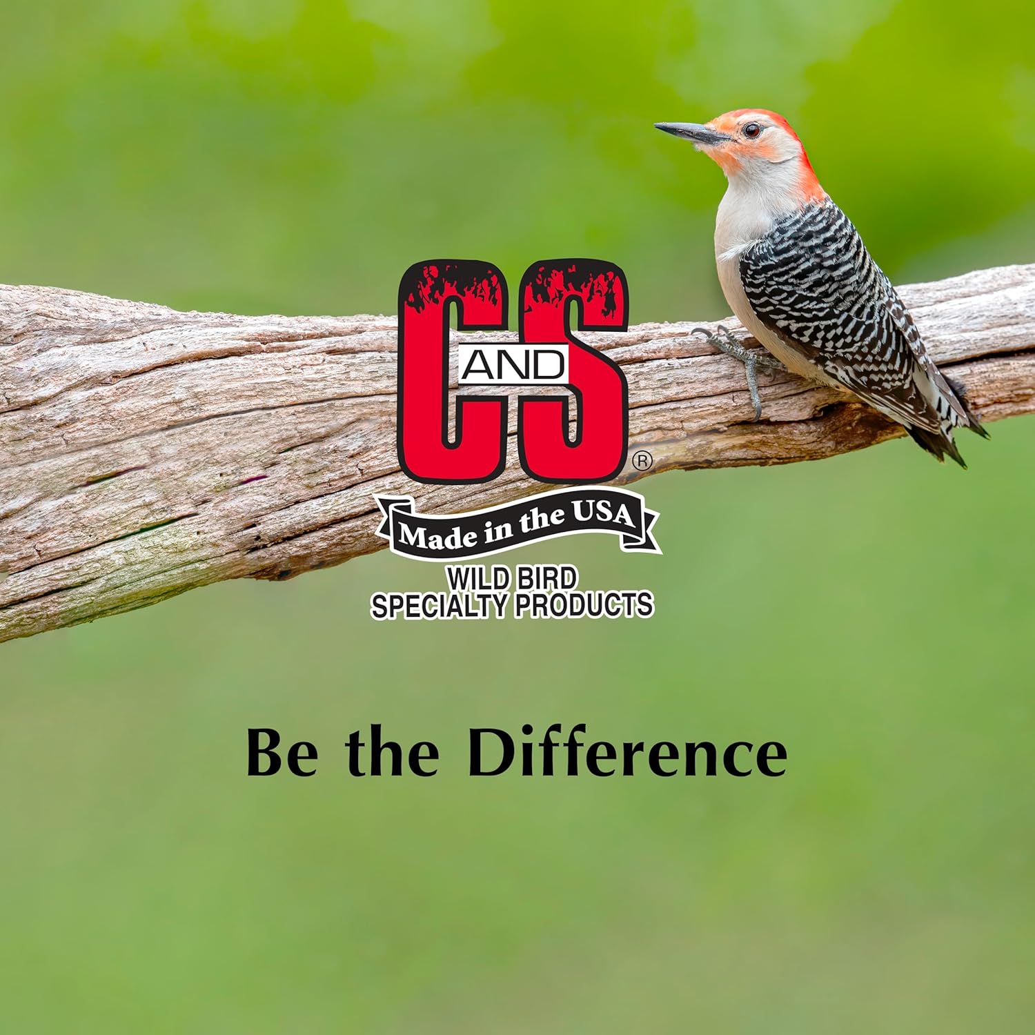 Wild Bird Woodpecker Suet Nuggets Mega Box, 8 Pounds