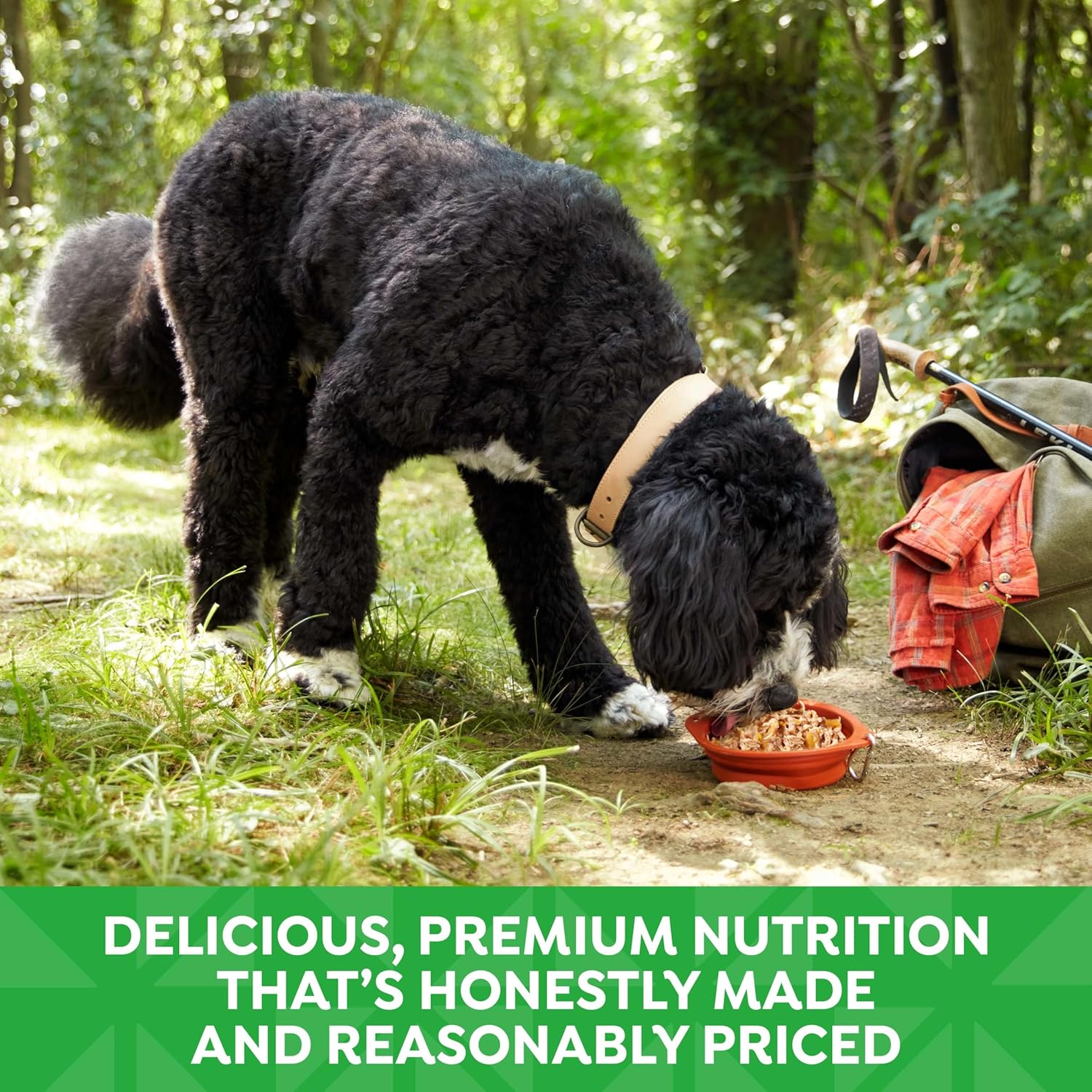 Grain Free Wet Dog Food, Chicken & Duck Recipe, 2.75 Ounce Cup (Pack of 12)